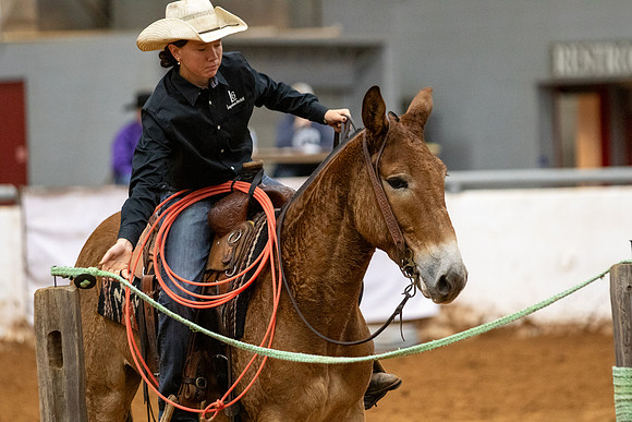 MuleFinals-16
