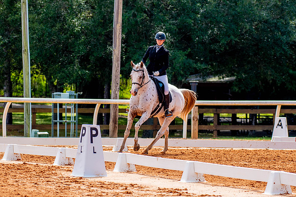 HorseShow-0726