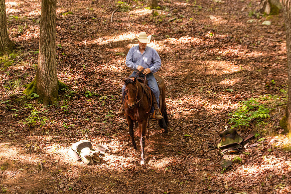 HodgesRace-5274