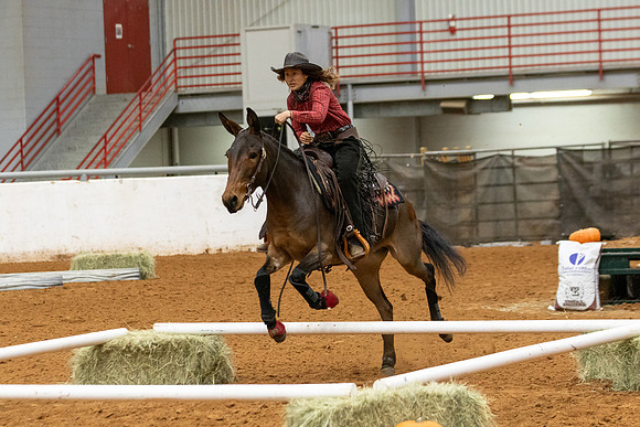 Mule&FuturityR2-106