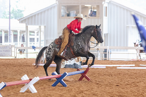 EXCARegionals-1032