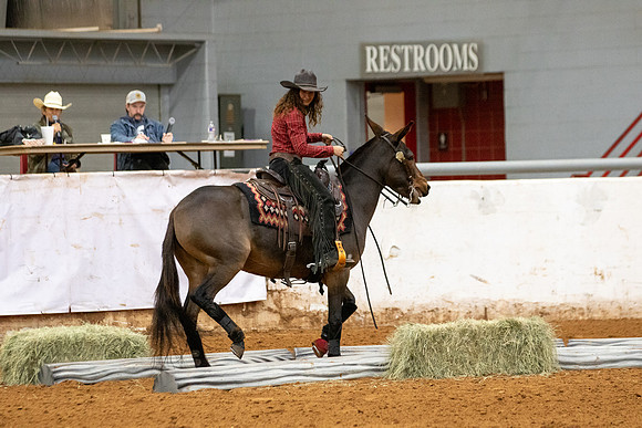 Mule&FuturityR2-100