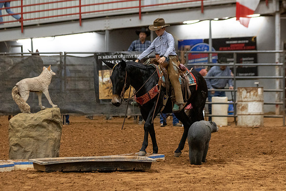 Mustang&MuleR1-878
