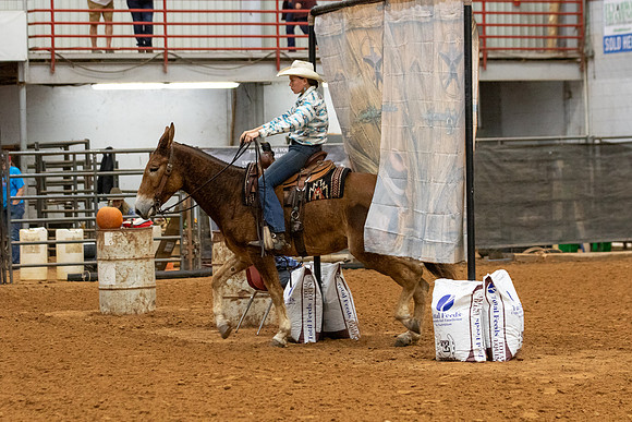 Mule&FuturityR2-23