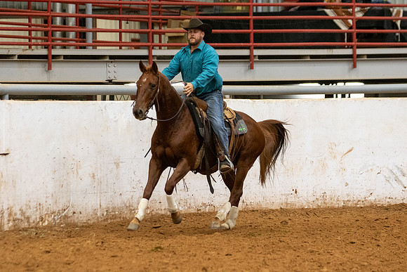 Mule&FuturityR2-360