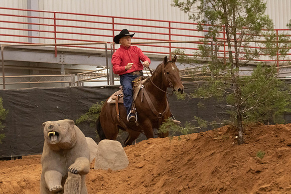 NonProR2-8239