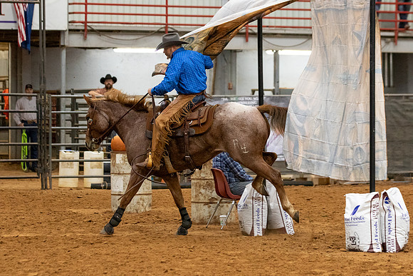 Mule&FuturityR2-454