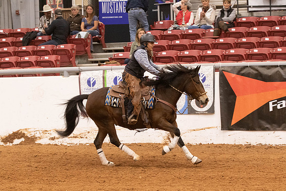 Mustang-1319