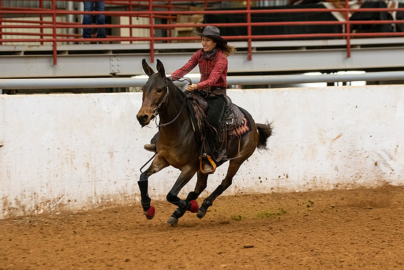Mule&FuturityR2-111