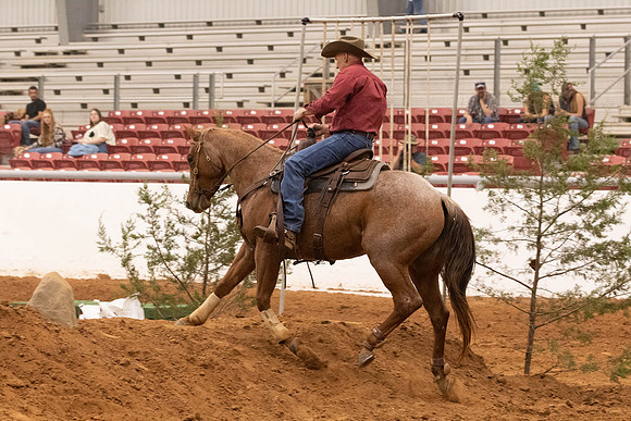 Futurity-6142