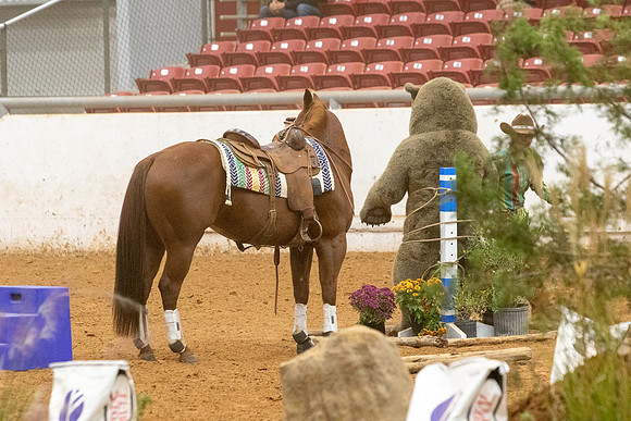 ProR2-3152