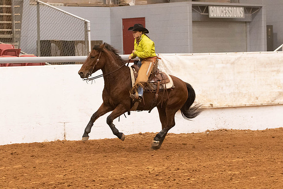 Mustang-1640