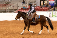 Mustang-1277