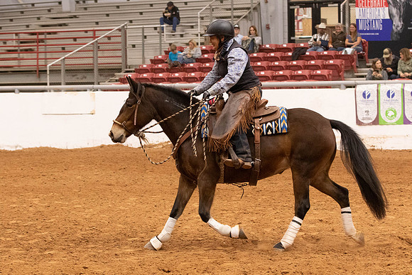 Mustang-1277