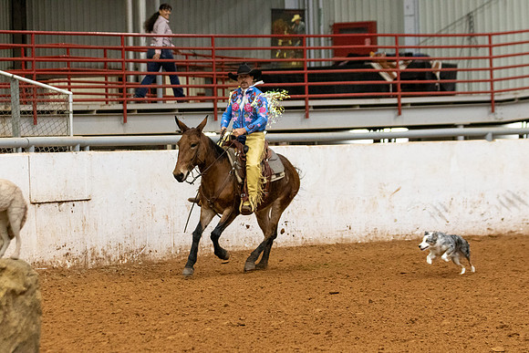 Mule&FuturityR2-172
