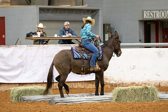 Mule&FuturityR2-33