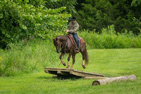 IMG_5916
