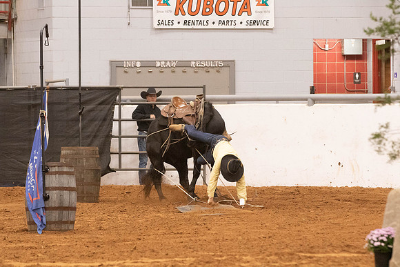 R1-0256
