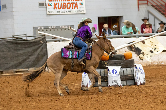 Mule&FuturityR2-234