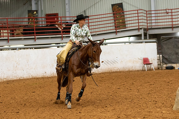 Mule&FuturityR2-139