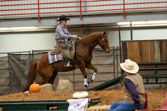 Mule&FuturityR2-503