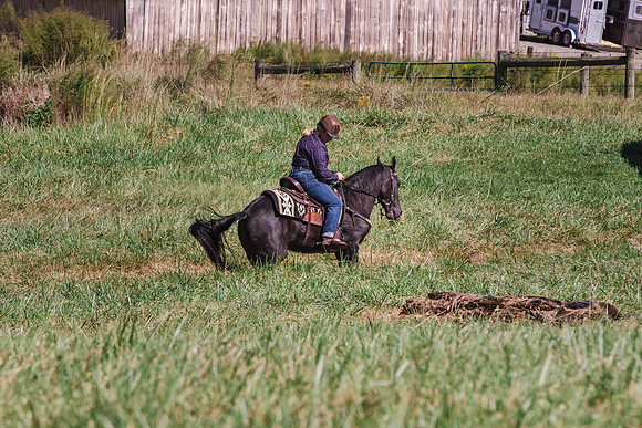 Terri-1754