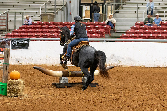 InternationalR1-253