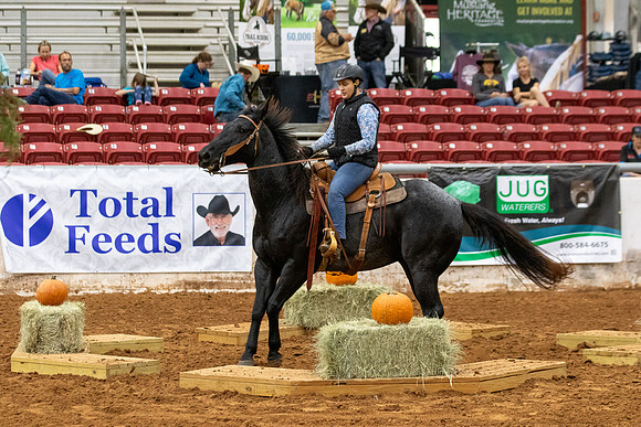 InternationalR1-273