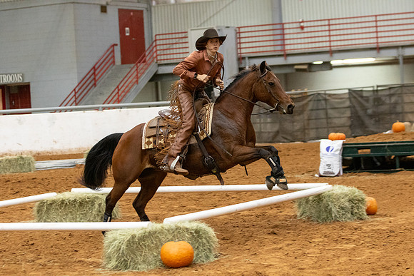 OpenR2&LeadLine-599