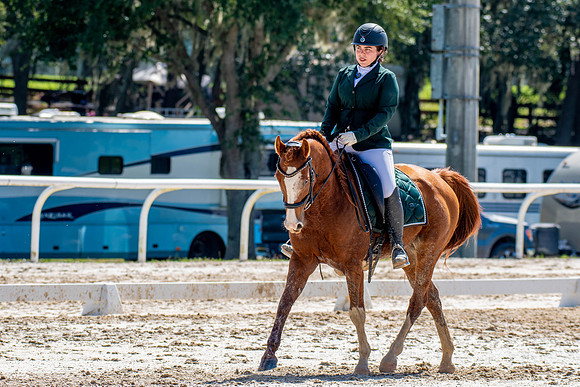 HorseShow-0659
