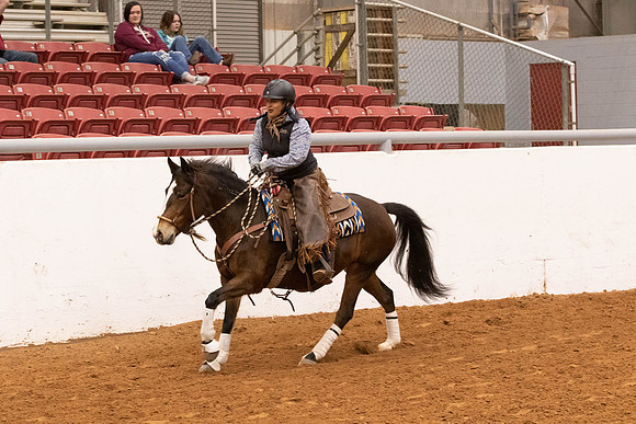 Mustang-1303