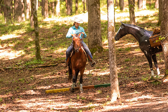 HodgesRace-5299