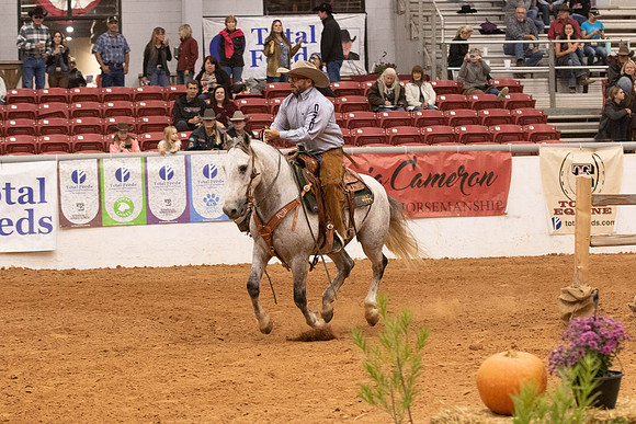 Mustang-1387