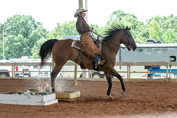 Gainesville-6296