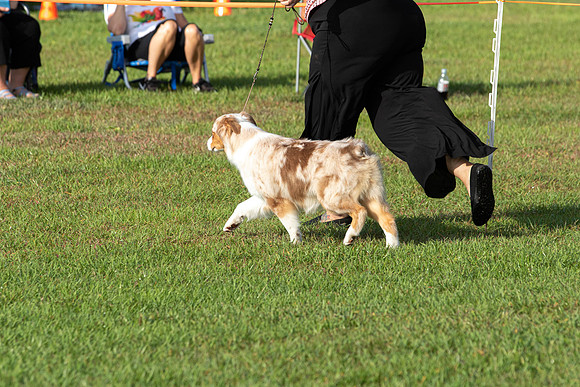 IABCAShow-2976