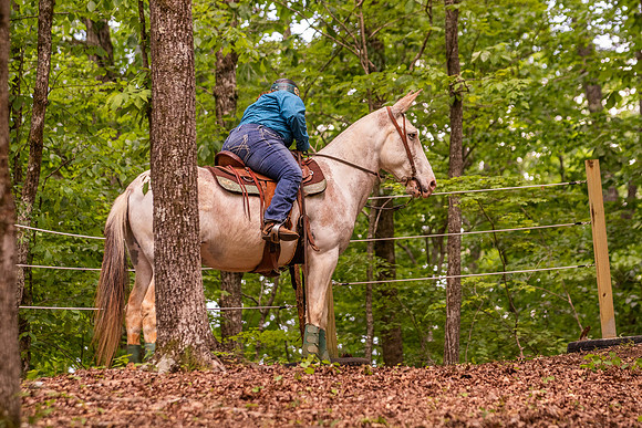 HodgesRace-6386