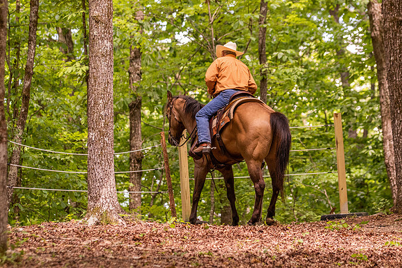 HodgesRace-6352