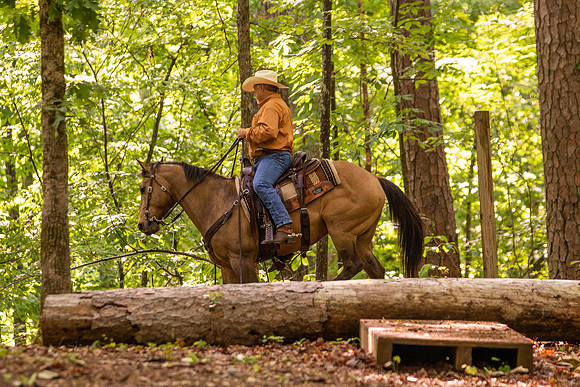 HodgesRace-5188