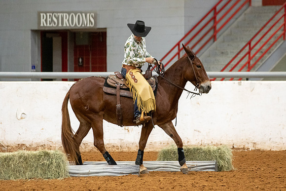 Mule&FuturityR2-121