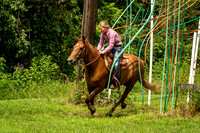 IMG_4528