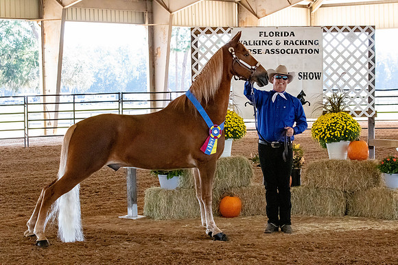 FWRHAStateShow-14