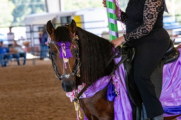 FWRHAStateShow-31