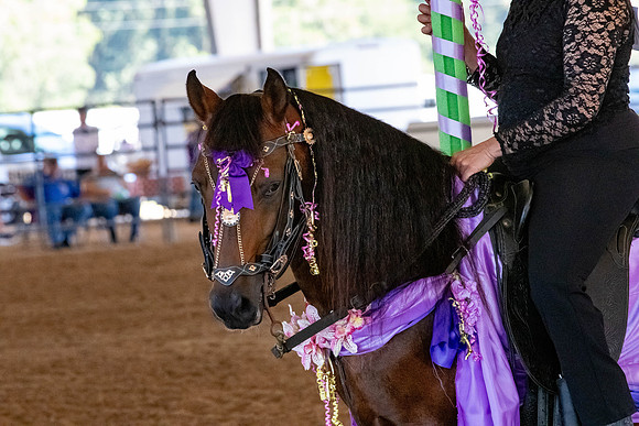 FWRHAStateShow-30