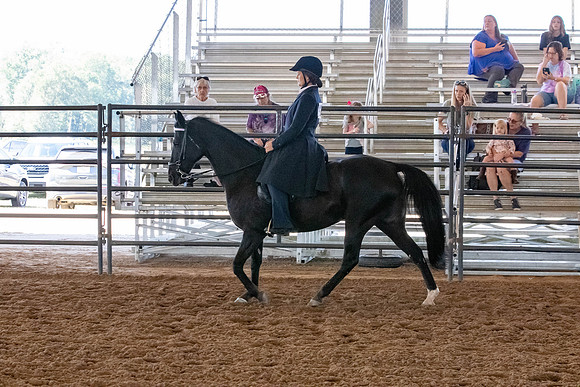 FWRHAStateShow-41