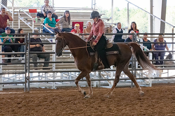 FWRHAStateShow-43