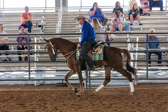FWRHAStateShow-45
