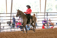 FWRHAStateShow-116