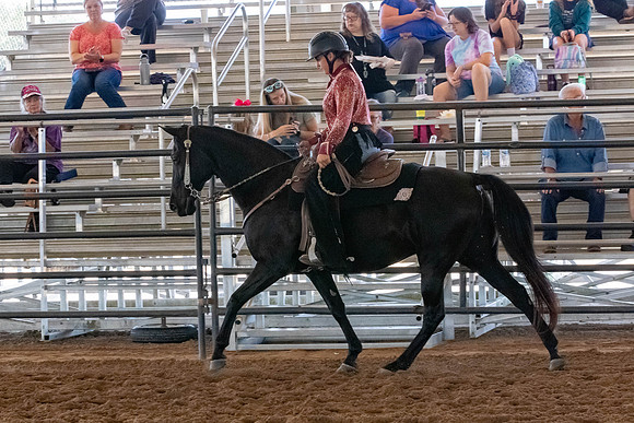FWRHAStateShow-64