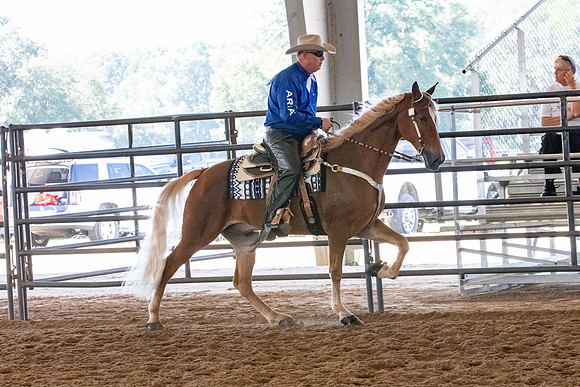 FWRHAStateShow-65