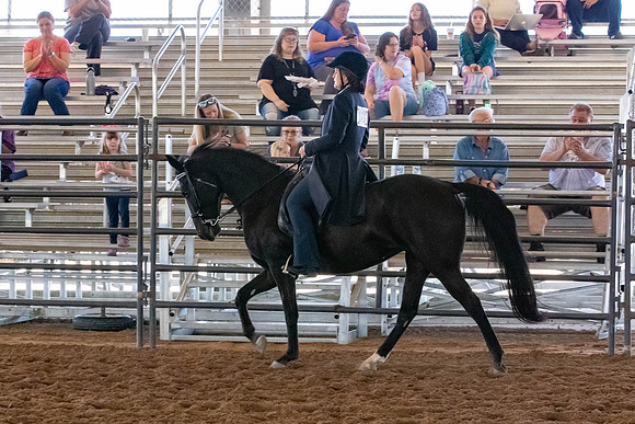 FWRHAStateShow-63